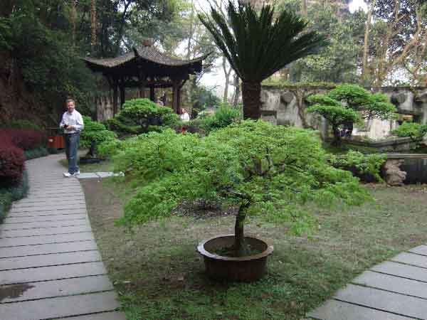 2009-04-06-16_18_11-China-GiM-824_k.jpg