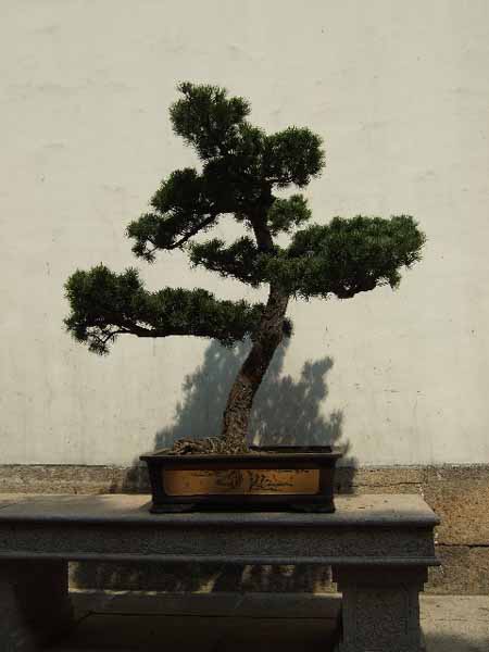 2009-04-08-10_00_15-China-GiM-948_k.jpg