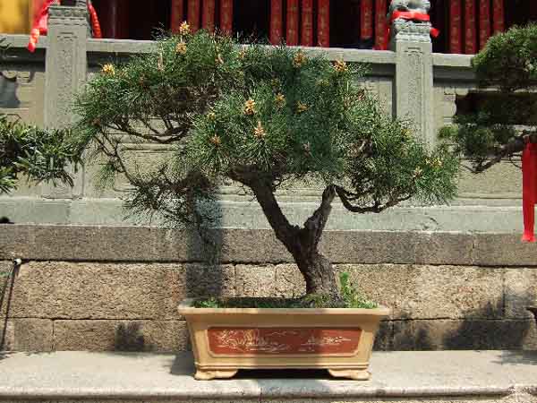 2009-04-08-10_26_14-China-GiM-953_k.jpg