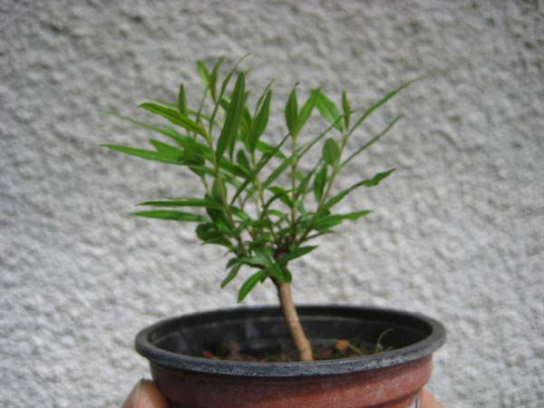 mb_g_0902.jpg