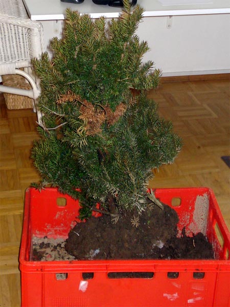 Januar 2009