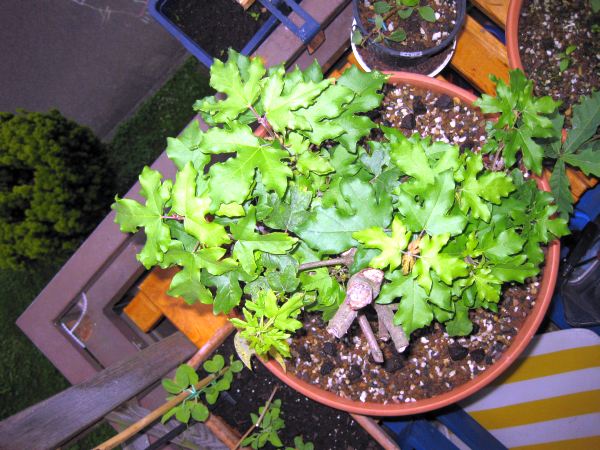 03_20090528.jpg