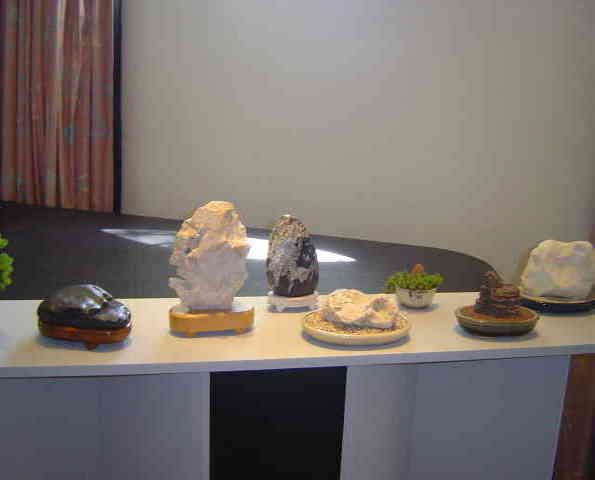 DSC05535.JPG