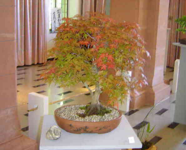DSC05526.JPG