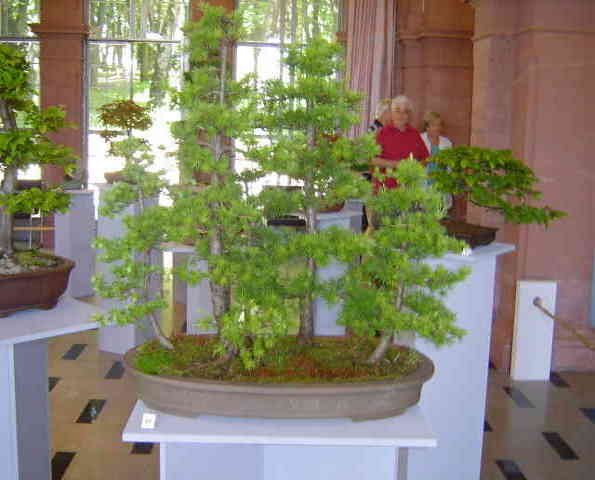 DSC05517.JPG