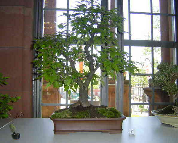 DSC05514.JPG