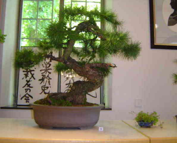 DSC05503.JPG