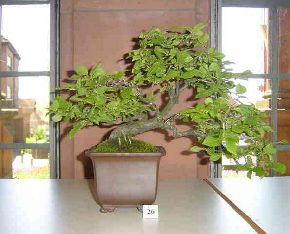 DSC05513.JPG