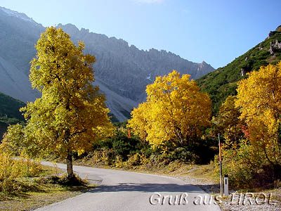 Als "Draufgabe" noch ein Herbstgruss aus Tirol - SPEZIELL FÜR DAS "STADTKIND" SEBASTIAN !