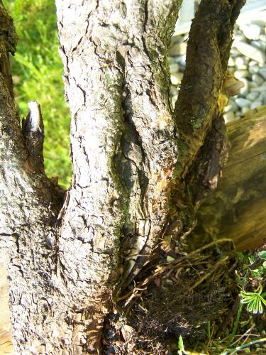100_1676.jpg