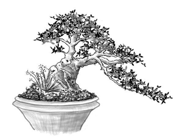 fig.jpg