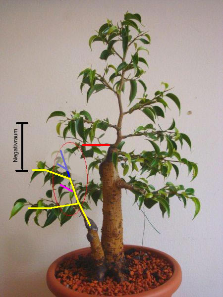 ficus_zukunft_juni_09.jpg