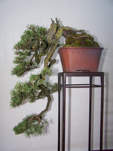 100_1749.jpg