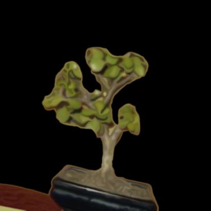crassula-cut.jpg