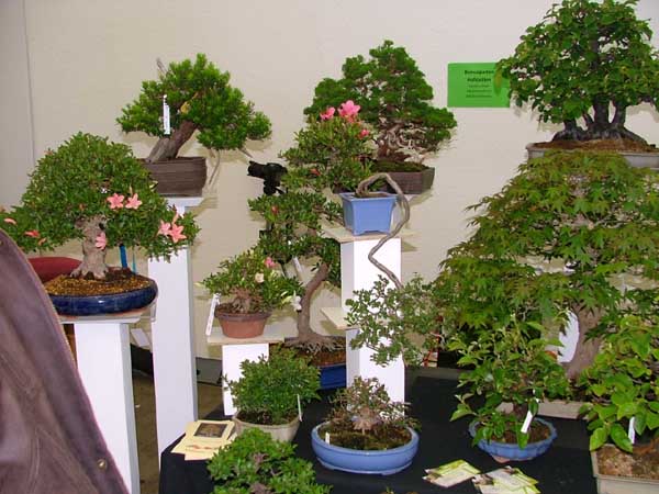 DSCF5202k.jpg