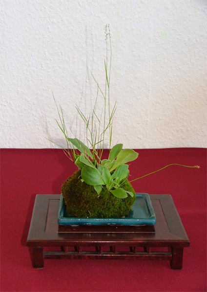 DSCF5259k.jpg
