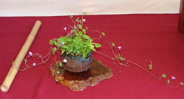 DSCF5302k.jpg