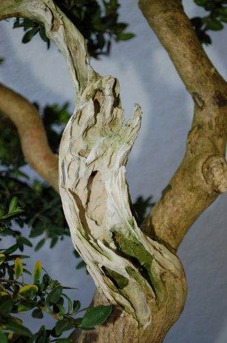DSC_1032.JPG