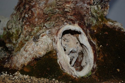 DSC_1128.JPG