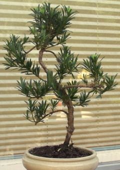100_08714.jpg