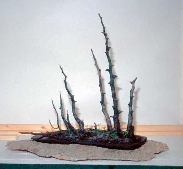 Burnt forest.i.jpg