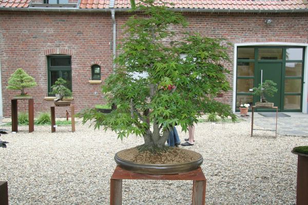 0105Krefeld.jpg