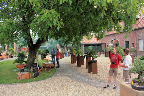 Der Bonsai-Ausstellungsbereich