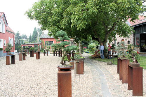 Der Bonsai-Ausstellungsbereich