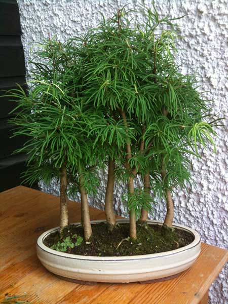 web.jpg