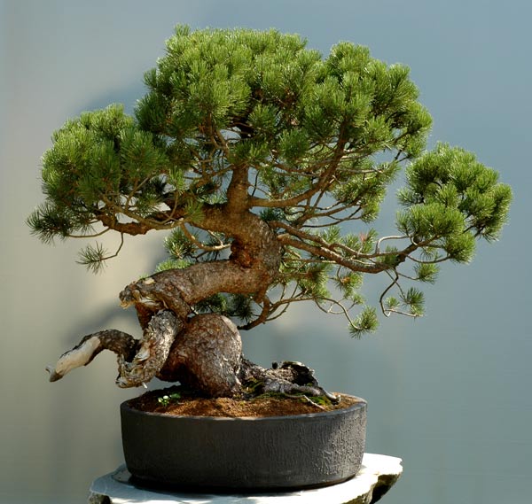 #17.jpg
