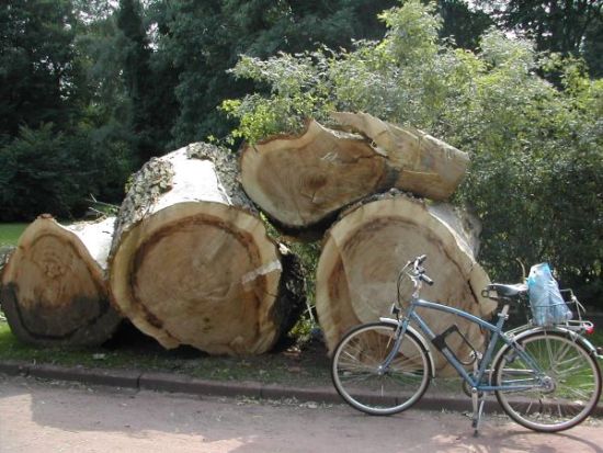 .. mein Fahrrad ist schon normal groß