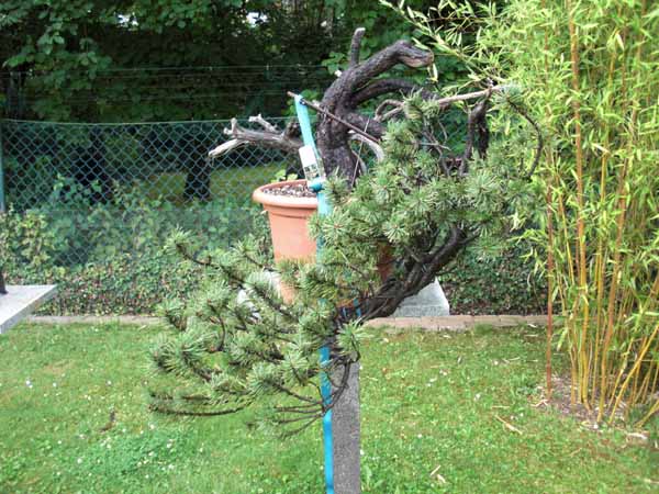 Test5.jpg