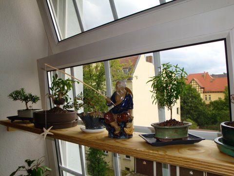 DSC00471-2.JPG