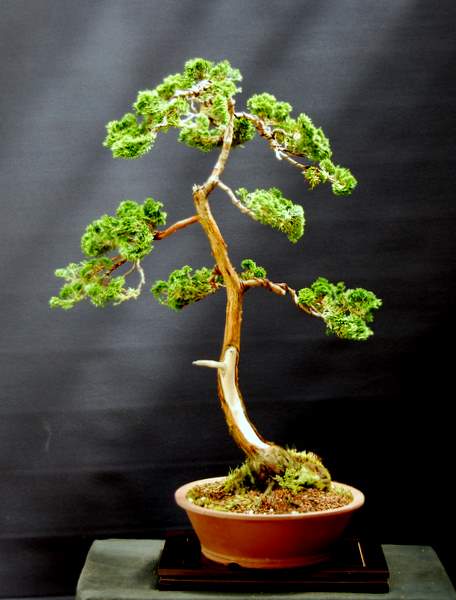 DSC_1104-2.JPG