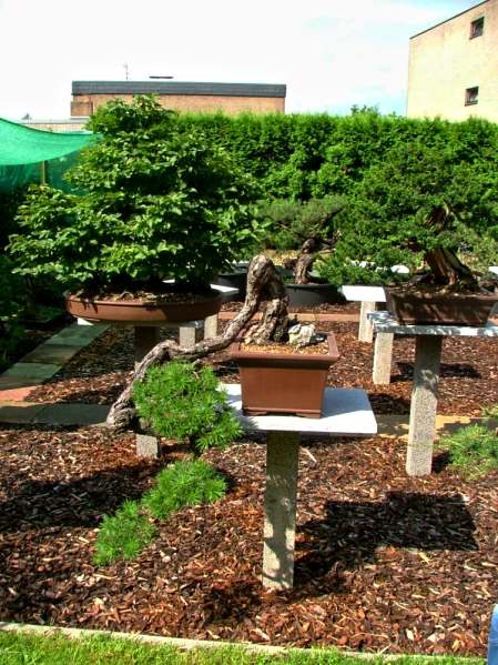 RalfJuli2009_Garten12.jpg