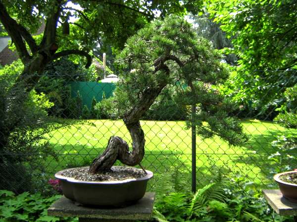 RalfJuli2009_Garten13.jpg