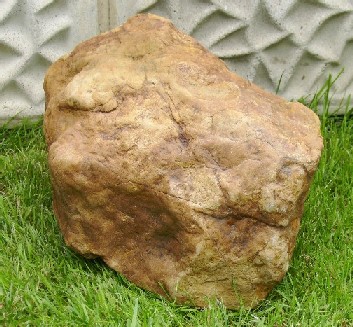 Stein3_2.jpg