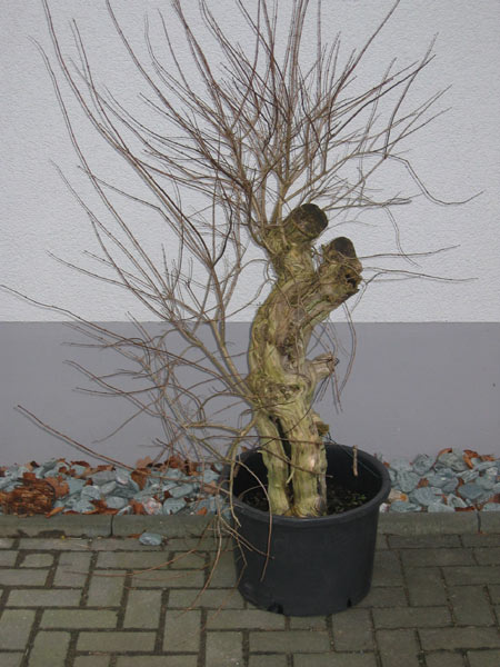 IMG_0633-web.jpg