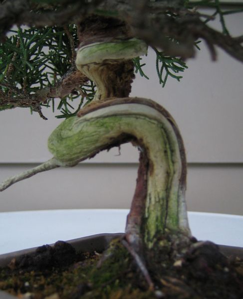 ...detail
