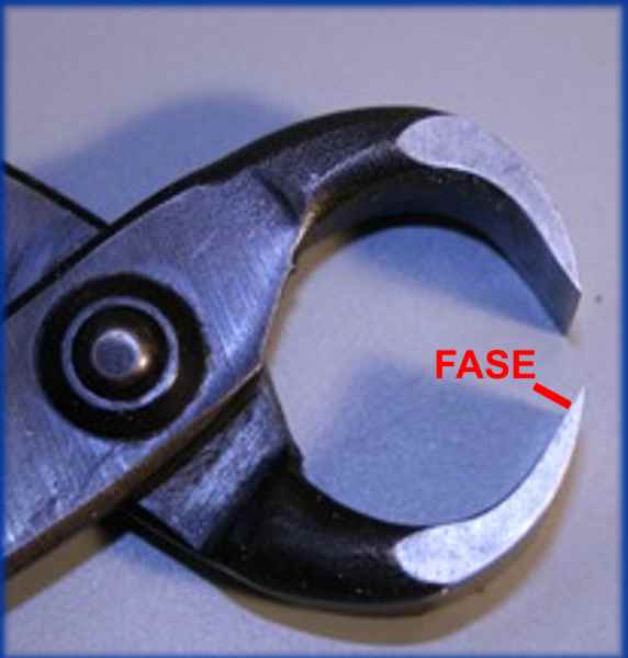 Fase3.jpg