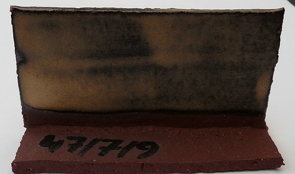 comp_P1020623.jpg