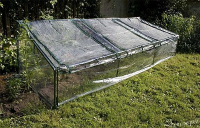 image1.jpg