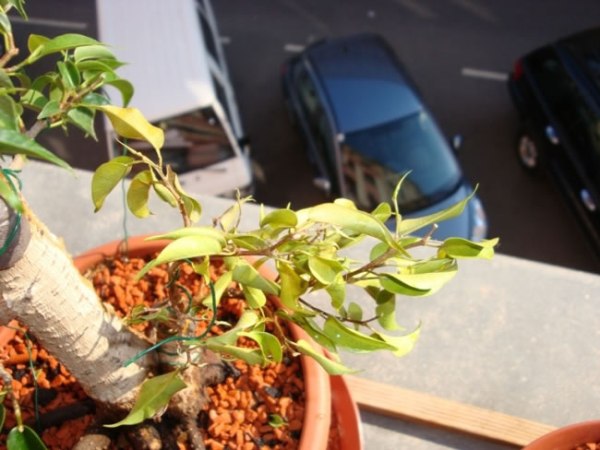 DSC08770.jpg