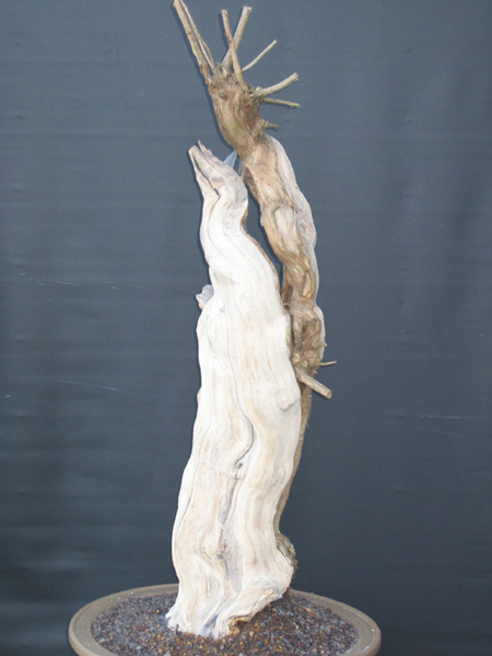 Vorderseite 1
