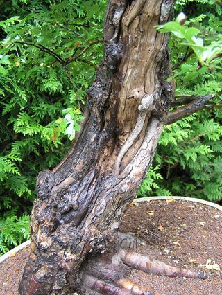 neue Bilder 847763.jpg