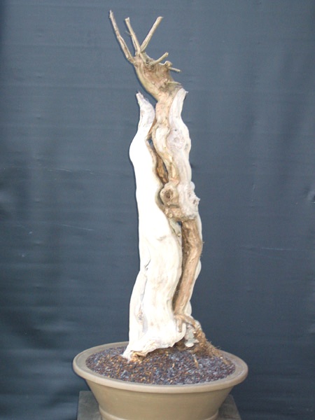 Vorderseite 3