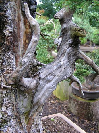 neue Bilder 847795.jpg
