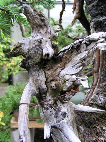 neue Bilder 847796.jpg