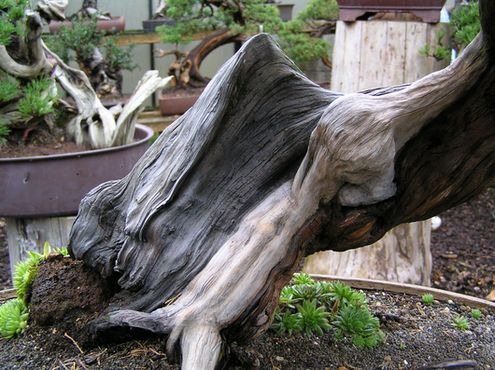 neue Bilder 847800.jpg