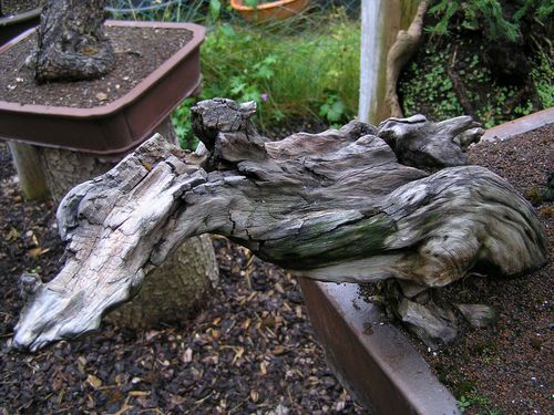 neue Bilder 847812.jpg